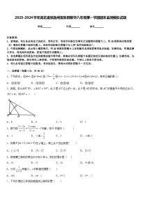 2023-2024学年湖北省恩施州宣恩县数学八年级第一学期期末监测模拟试题含答案