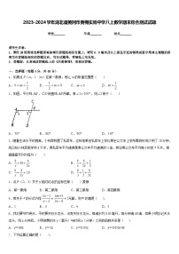 2023-2024学年湖北省黄冈市黄梅实验中学八上数学期末综合测试试题含答案