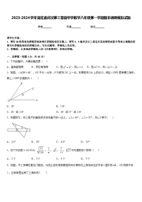 2023-2024学年湖北省武汉第三寄宿中学数学八年级第一学期期末调研模拟试题含答案