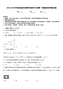 2023-2024学年湖北省武汉梅苑学校数学八年级第一学期期末联考模拟试题含答案