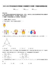 2023-2024学年湖北省武汉市蔡甸区八校联盟数学八年级第一学期期末调研模拟试题含答案