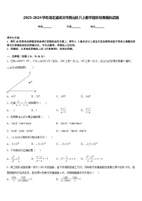 2023-2024学年湖北省武汉市青山区八上数学期末经典模拟试题含答案