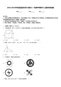 2023-2024学年湖北省武汉市江岸区七一华源中学数学八上期末检测试题含答案