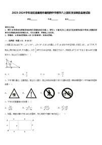 2023-2024学年湖北省襄阳市襄阳四中学数学八上期末质量跟踪监视试题含答案