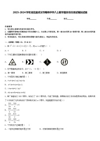 2023-2024学年湖北省武汉市梅苑中学八上数学期末综合测试模拟试题含答案