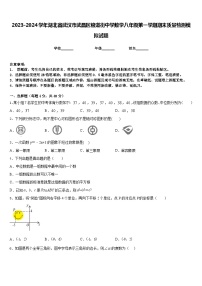 2023-2024学年湖北省武汉市武昌区粮道街中学数学八年级第一学期期末质量检测模拟试题含答案