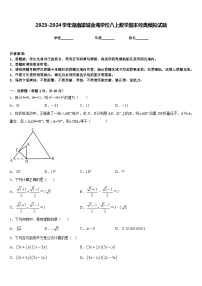 2023-2024学年湖南望城金海学校八上数学期末经典模拟试题含答案