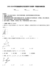 2023-2024学年湖南省怀化市名校数学八年级第一学期期末调研试题含答案