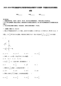 2023-2024学年湖南省怀化市新晃侗族自治县数学八年级第一学期期末质量检测模拟试题含答案