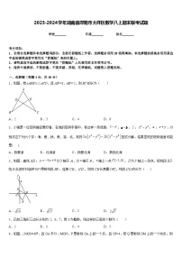 2023-2024学年湖南省邵阳市大祥区数学八上期末联考试题含答案