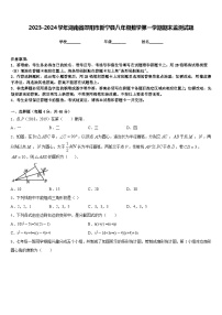 2023-2024学年湖南省邵阳市新宁县八年级数学第一学期期末监测试题含答案