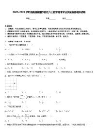 2023-2024学年湖南省益阳市名校八上数学期末学业质量监测模拟试题含答案