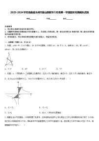 2023-2024学年湖南省永州市蓝山县数学八年级第一学期期末经典模拟试题含答案