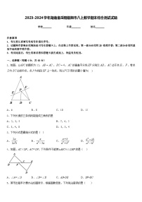 2023-2024学年湖南省岳阳临湘市八上数学期末综合测试试题含答案