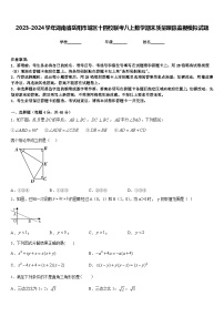 2023-2024学年湖南省岳阳市城区十四校联考八上数学期末质量跟踪监视模拟试题含答案