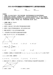 2023-2024学年湖南省长沙市青雅丽发中学八上数学期末经典试题含答案