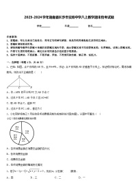 2023-2024学年湖南省长沙市实验中学八上数学期末统考试题含答案