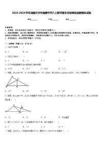 2023-2024学年湖南长沙市南雅中学八上数学期末质量跟踪监视模拟试题含答案