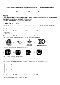 2023-2024学年湖南长沙市中学雅培粹学校数学八上期末综合测试模拟试题含答案