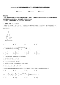 2023-2024学年湖南省株洲市八上数学期末质量检测模拟试题含答案