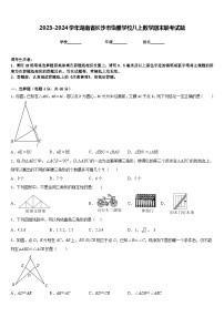 2023-2024学年湖南省长沙市怡雅学校八上数学期末联考试题含答案