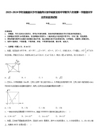 2023-2024学年湖南省长沙市湖南师大附中高新实验中学数学八年级第一学期期末学业质量监测试题含答案