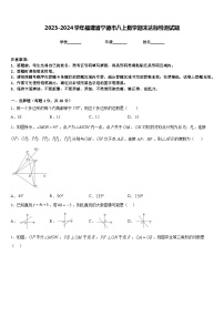 2023-2024学年福建省宁德市八上数学期末达标检测试题含答案