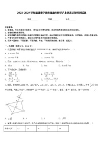 2023-2024学年福建省宁德市福鼎市数学八上期末达标检测试题含答案