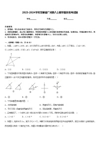 2023-2024学年甘肃省广河县八上数学期末统考试题含答案