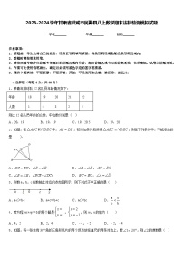 2023-2024学年甘肃省武威市民勤县八上数学期末达标检测模拟试题含答案