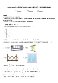 2023-2024学年贵州省六盘水市水城县文泰学校八上数学期末经典试题含答案