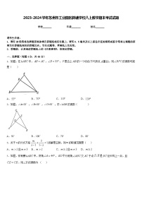 2023-2024学年苏州市工业园区斜塘学校八上数学期末考试试题含答案