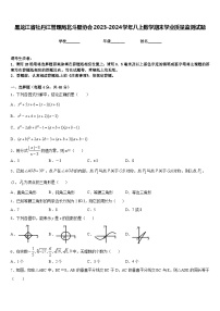 黑龙江省牡丹江管理局北斗星协会2023-2024学年八上数学期末学业质量监测试题含答案