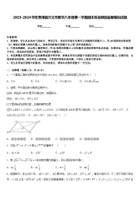 2023-2024学年贵州省兴义市数学八年级第一学期期末质量跟踪监视模拟试题含答案