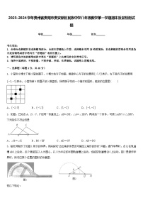 2023-2024学年贵州省贵阳市贵安新区民族中学八年级数学第一学期期末质量检测试题含答案