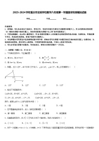 2023-2024学年重庆市实验学校数学八年级第一学期期末检测模拟试题含答案