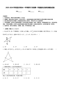 2023-2024学年重庆市彭水一中学数学八年级第一学期期末达标检测模拟试题含答案