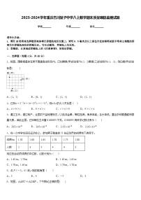 2023-2024学年重庆巴川量子中学八上数学期末质量跟踪监视试题含答案