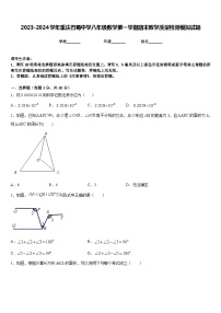 2023-2024学年重庆巴蜀中学八年级数学第一学期期末教学质量检测模拟试题含答案