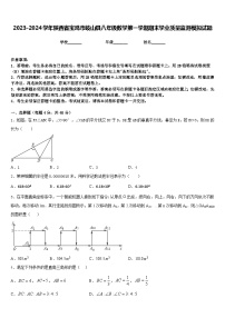 2023-2024学年陕西省宝鸡市岐山县八年级数学第一学期期末学业质量监测模拟试题含答案