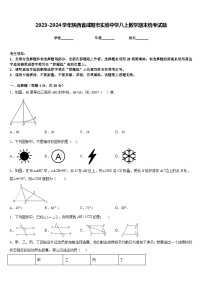 2023-2024学年陕西省咸阳市实验中学八上数学期末统考试题含答案