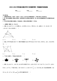 2023-2024学年重庆清化中学八年级数学第一学期期末检测试题含答案