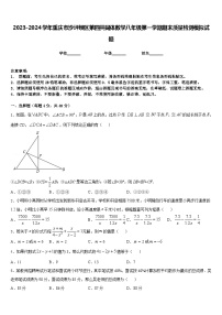 2023-2024学年重庆市沙坪坝区第四共同体数学八年级第一学期期末质量检测模拟试题含答案