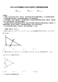 2023-2024学年黑龙江大庆市三站中学八上数学期末统考试题含答案