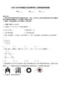 2023-2024学年黑龙江红光农场学校八上数学期末检测试题含答案