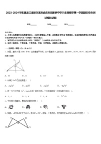 2023-2024学年黑龙江省哈尔滨市尚志市田家炳中学八年级数学第一学期期末综合测试模拟试题含答案