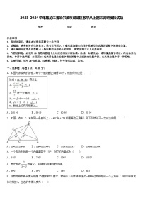 2023-2024学年黑龙江省哈尔滨市双城区数学八上期末调研模拟试题含答案