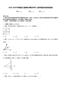 2023-2024学年黑龙江省海伦市第五中学八上数学期末质量检测试题含答案