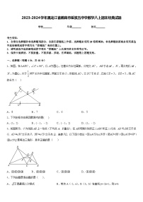 2023-2024学年黑龙江省鹤岗市绥滨五中学数学八上期末经典试题含答案