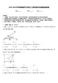 2023-2024学年青海省西宁市名校八上数学期末质量跟踪监视试题含答案